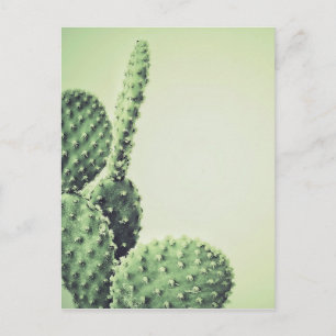 Grüne Kaktus Postkarte