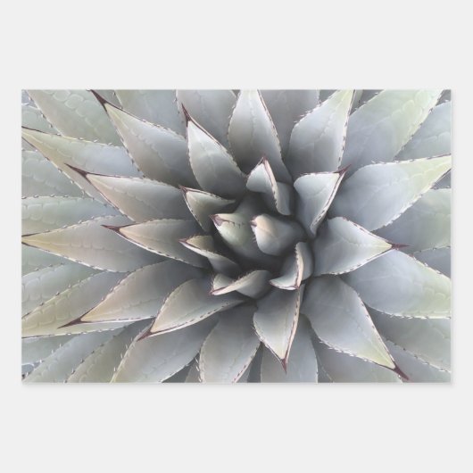 Grüne Kaktus-Wüste der botanischen Pflanze Geschenkpapier Set (Vorderseite)