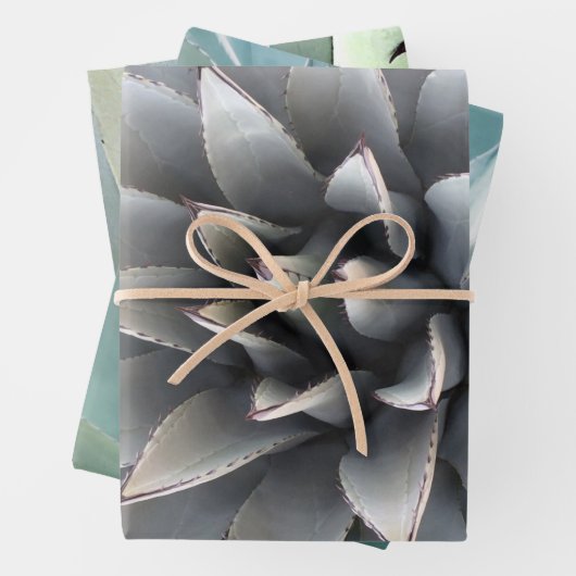 Grüne Kaktus-Wüste der botanischen Pflanze Geschenkpapier Set (Beispiel)