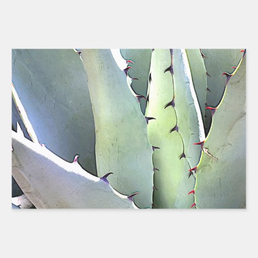 Grüne Kaktus-Wüste der botanischen Pflanze Geschenkpapier Set (Vorderseite 3)