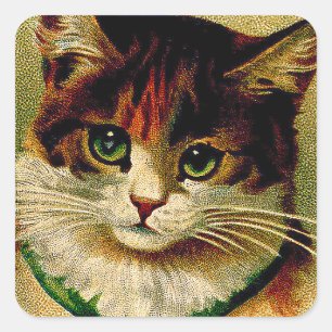 Grüne Katze im Vintage-Stil mit Schellen Quadratischer Aufkleber