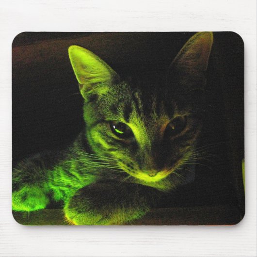 Grüne Katze Mousepad (Vorne)