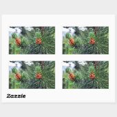 Grüne Kiefer Rechteckiger Aufkleber (Blatt)