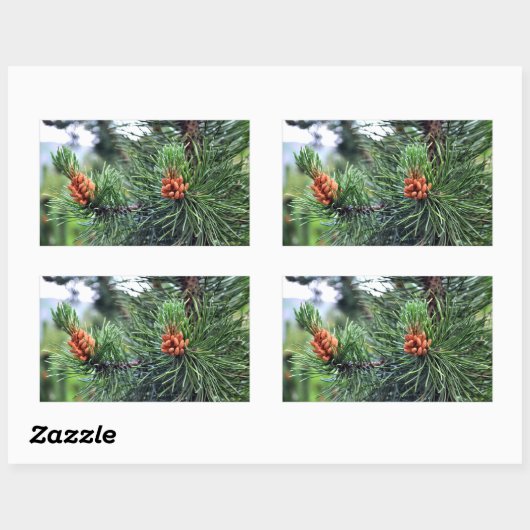 Grüne Kiefer Rechteckiger Aufkleber (Blatt)