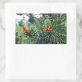 Grüne Kiefer Rechteckiger Aufkleber (Tasche)