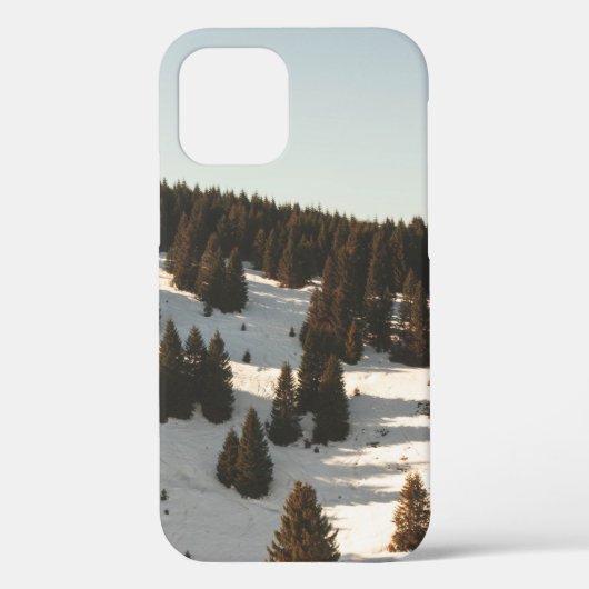GRÜNE KIEFERN Case-Mate iPhone HÜLLE (Rückseite)