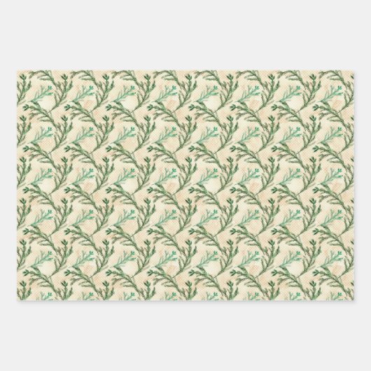 Grüne Kiefernzweige Weihnachten Geschenkpapier Set (Vorderseite)