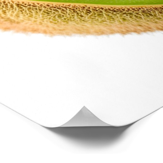 Grüne Kiwi Poster (Ecke)