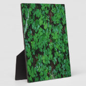 Grüne Klee Fotoplatte (Seite)