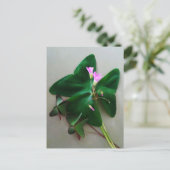 Grüne Klee Rosa Blüten St Patrick's Day Postkarte (Stehend Vorderseite)