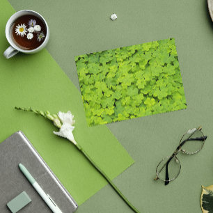 Grüne Kleeblätter Blumenstrauß St Patrick's Day Karte