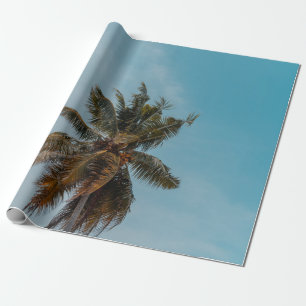 Grüne Kokosnuss unter blauem Himmel Geschenkpapier