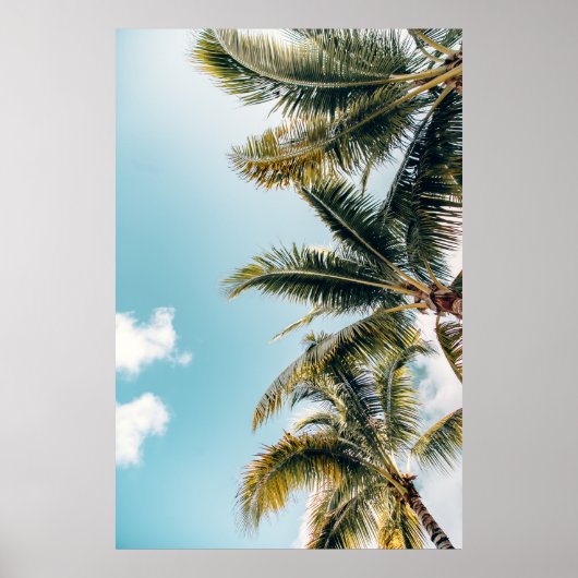 Grüne Kokospalmen Poster (Vorne)