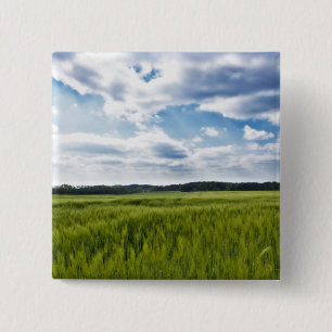 Grüne Kornfelder und blaue Himmel Button