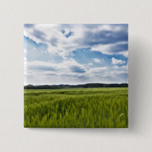 Grüne Kornfelder und blaue Himmel Button (Vorderseite)