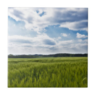Grüne Kornfelder und blaue Himmel Fliese