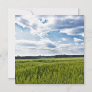 Grüne Kornfelder und blaue Himmel Karte