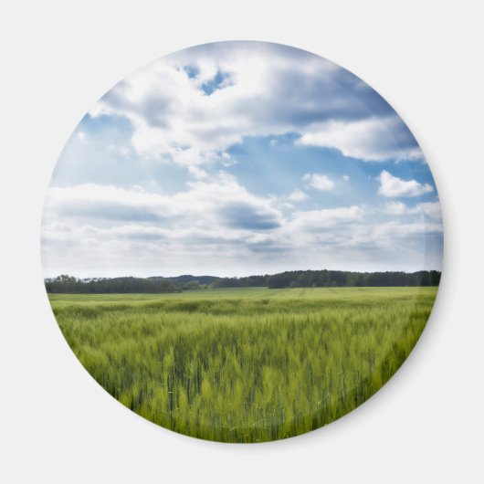 Grüne Kornfelder und blaue Himmel Magnet (Vorne)