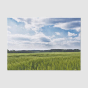 Grüne Kornfelder und blaue Himmel Seidenpapier