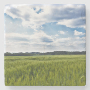 Grüne Kornfelder und blaue Himmel Steinuntersetzer