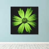 Grüne Kosmos-Blume auf Schwarz Leinwanddruck (Insitu (Holzboden))