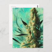 Grüne Kraut Postkarte (Vorne/Hinten)