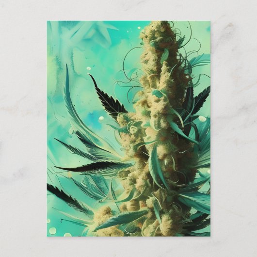 Grüne Kraut Postkarte (Vorderseite)