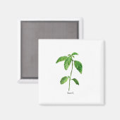 Grüne Kräutergarten Aquarell Magnet (Vorderseite/Rückseite)