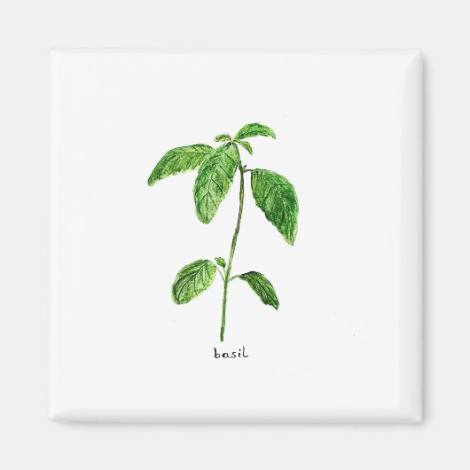 Grüne Kräutergarten Aquarell Magnet (Vorne)