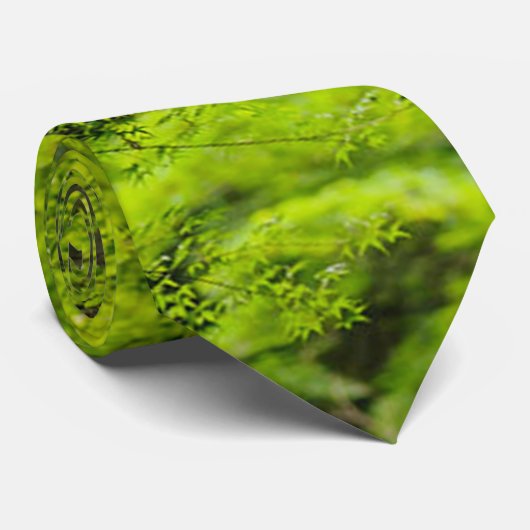 Grüne Krawatte (Gerollt)