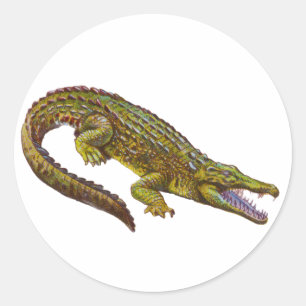Grüne Krokodil-Illustration im Vintage-Stil Runder Aufkleber
