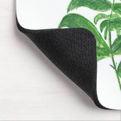 Grüne Küche botanische Pflanze Kräuter Basil Mousepad (Ecke)