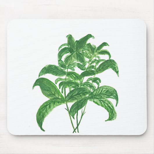 Grüne Küche botanische Pflanze Kräuter Basil Mousepad (Vorne)