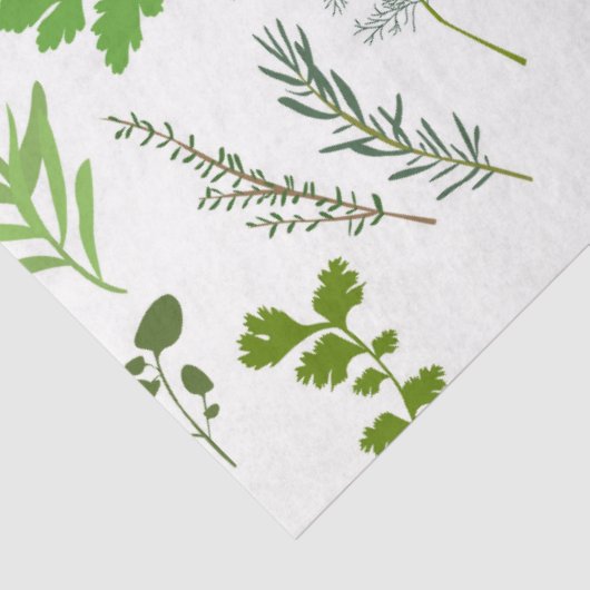 Grüne Küche Kulturelle Kräutergarten Seidenpapier (Ausschnitt)