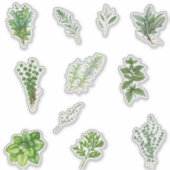 Grüne Küchenkraut Aufkleber (Vorderseite)