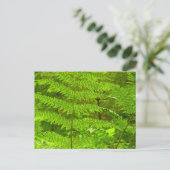 Grüne Landschaft, botanisch Postkarte (Stehend Vorderseite)