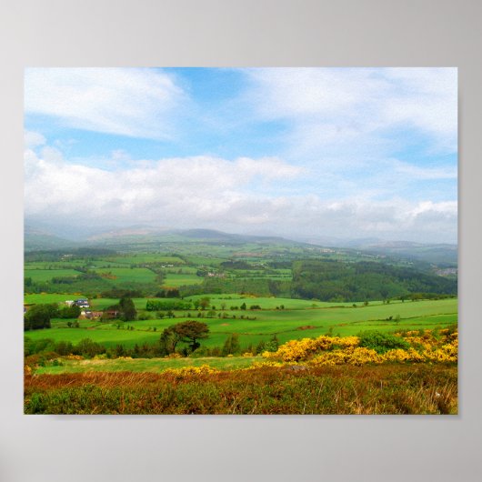 Grüne Landschaft Poster (Vorne)