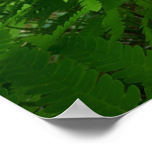 Grüne Landschaft und botanische Landschaften Poster (Ecke)