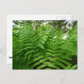 Grüne Landschaft und botanische Landschaften Postkarte (Vorne/Hinten)