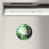Grüne Lantern nah Magnet (In Situ (Geschirrspüler))