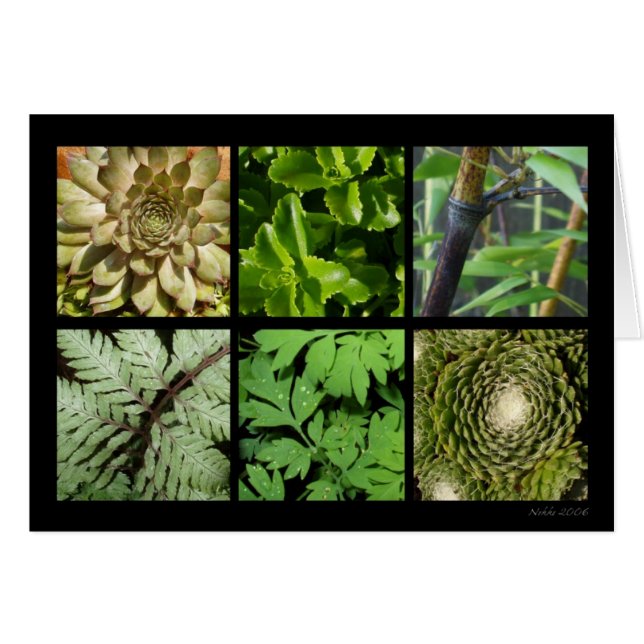 Grüne Laub-Karte (Vorderseite (Horizontal))