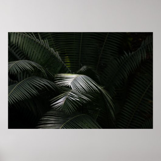 GRÜNE LEAF-PFLANZE POSTER (Vorne)