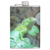 Grüne Leguane Edelstahl-Wasserflasche Flachmann (Vorderseite)