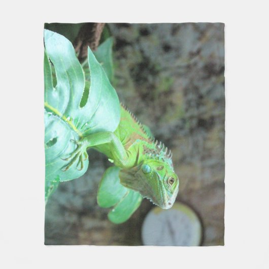 Grüne Leguane Fleecedecke (Vorderseite)