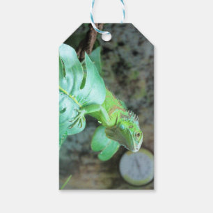 Grüne Leguane Geschenkanhänger