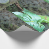 Grüne Leguane Geschenkpapier (Ecke)