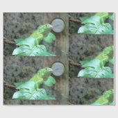 Grüne Leguane Geschenkpapier (Flach)