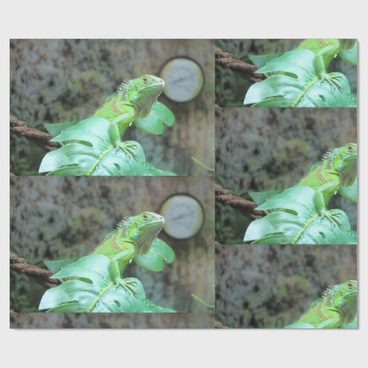 Grüne Leguane Geschenkpapier (Flach)
