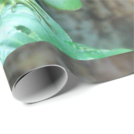 Grüne Leguane Geschenkpapier (Rolleneckpunkt)
