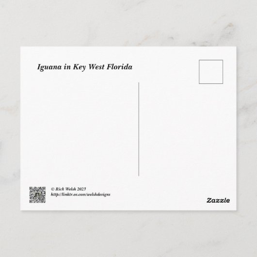 Grüne Leguane in Key West Florida Postkarte (Rückseite)